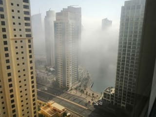 Dense monster fog is back: Readers share pictures from Dubai, Sharjah and Ajman