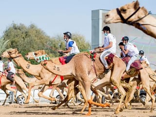 Photos: Emirati Sultan Al Shamsi dominates 6th National Day Camel Marathon in Dubai

