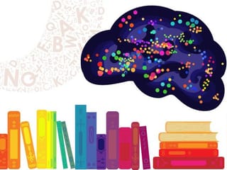 Study: How growing up in a bilingual home affects your child's brain