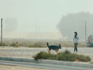 Dubai wakes up to fog, vanishing buildings