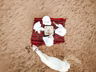 Check out 10 pictures shortlisted for National Geographic Abu Dhabi competition