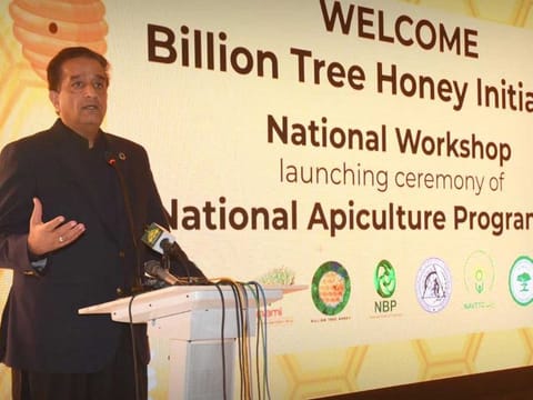 Special Assistant to Prime Minister on Climate Change, Malik Amin Aslam, launched the national beekeeping programme in Islamabad in a January file photo. Addressing the virtual inaugural session of the group on September 20, Aslam highlighted major initiatives taken by the Pakistan government including the 10 billion tree plantation project, protected areas initiative, e-vehicle policy, renewable energy push, green jobs, nature performance bonds and Recharge Pakistan project for water conservation under the Clean Green Pakistan umbrella.