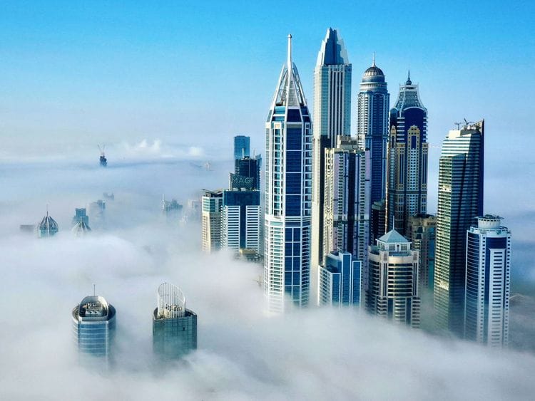reader picture fog