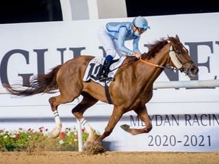 Photos: Thrills at Meydan for Gulf News-sponsored night