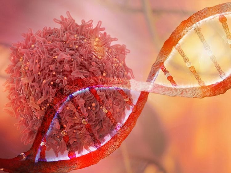 New weapons against cancer