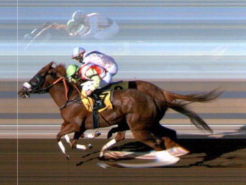 Saltarin Dubai (closer to camera) and Tailor's Row in a nack-and-neck finish at the 1950 m Listed Jebel Ali Stakes on Friday. Satish Seemar's Saltarin Dubai was adjudged the winner in a photo finish.
