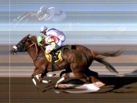 Saltarin Dubai (closer to camera) and Tailor's Row in a nack-and-neck finish at the 1950 m Listed Jebel Ali Stakes on Friday. Satish Seemar's Saltarin Dubai was adjudged the winner in a photo finish.