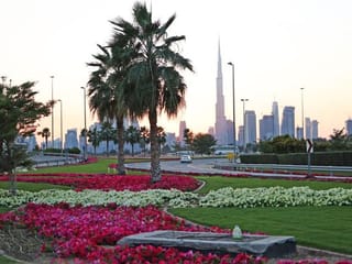 How Dubai greens the desert: Interesting numbers to know
