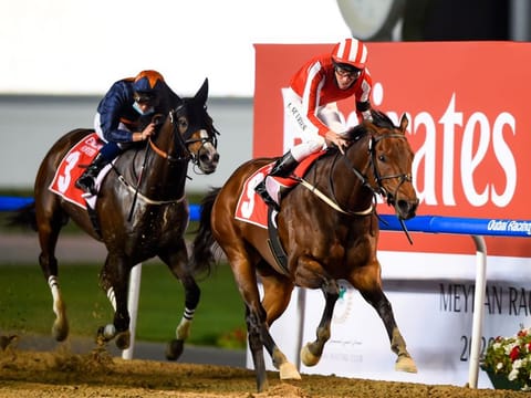 Salute The Soldier, ridden by Adrie De Vries and trained by Fawzi Nass, wins the Al Maktoum Challenge (Round 2) race at the fourth meeting of Dubai World Cup Carnival at Meydan racecourse on Thursday. 