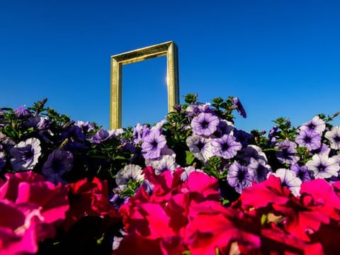 Look: Dubai is always in full bloom as flowers adorn streets, roads