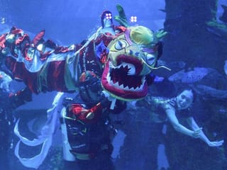 Photos: Underwater dragon show marks Chinese Lunar New Year