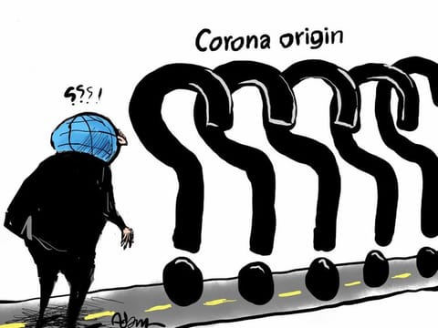 Coronavirus origins still being debated