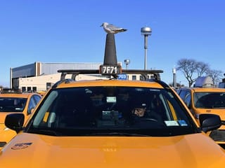 COVID-19 pandemic threatens New York's iconic yellow taxis
