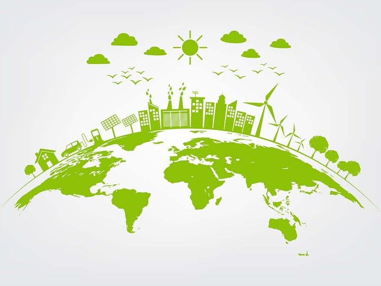Stock Sustainability