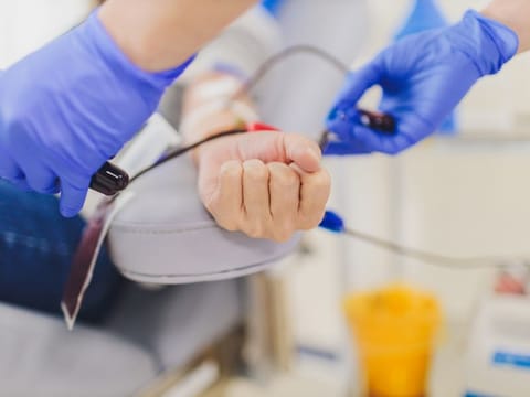 Donors must be in good health, without chronic or infectious diseases, with no history of recent surgeries and must not be taking medications that could pose a risk to the recipient