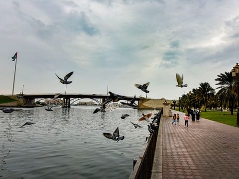 Cloudy and windy weather in UAE