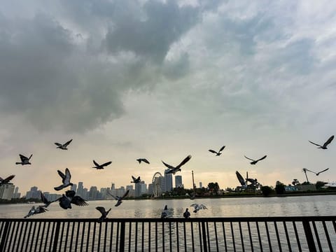 Cloudy and windy weather in UAE