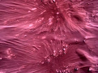NASA's Perseverance rover beams back images of the red planet
