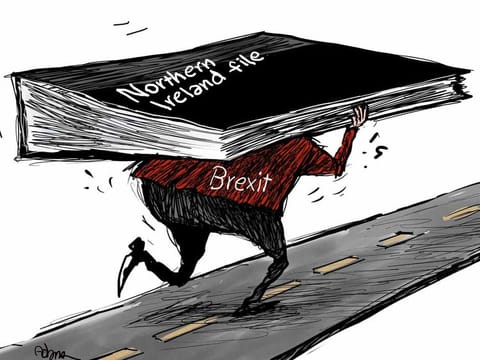 Northern Ireland has remained part of the EU's single market 
