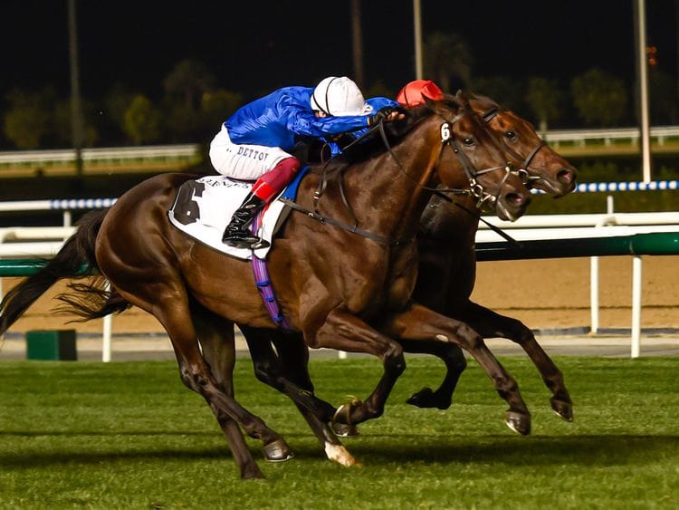 Horseracing - Volcanic Sky