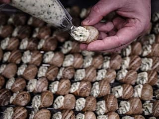 French snail farmers slugged by COVID-19