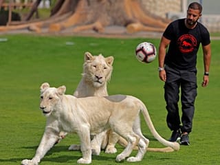 Photos: A look inside the Al Buqaish Private Zoo in Sharjah