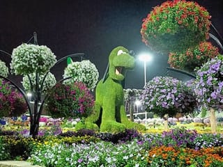 Photos: Gulf News readers share pictures of the beautiful parks and beaches in Dubai Miracle Garden and La Mer Jumeirah