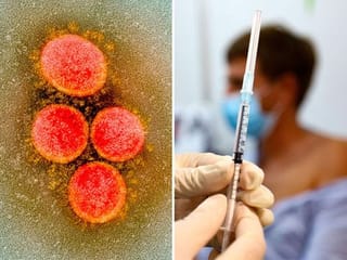 Ten key moments in the COVID-19 pandemic