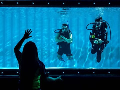 Look: Diving pool from shipping containers at Dubai's Dive Garage in Al Quoz 