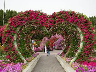 Photos: A look inside Dubai Miracle Garden