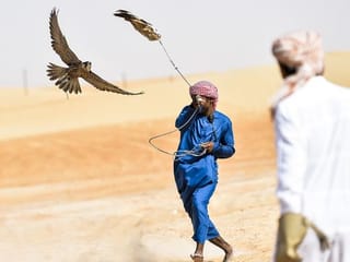 Photos: Falconry in Abu Dhabi's Al Dhafra desert