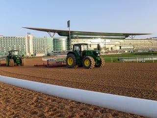 LOOK - Dubai World Cup hopefuls go through their paces at Meydan in UAE