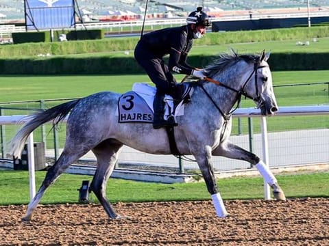 Photos: Dubai World Cup 2021 contenders get down to work at Meydan