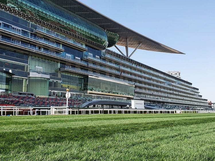 Meydan track before race