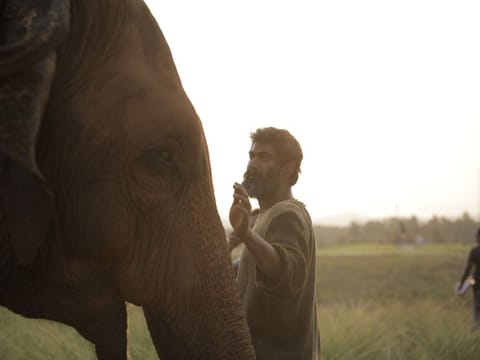Rana Daggubati.