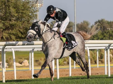 AF Asham, ridden by O'Shea, winning for Oerta.