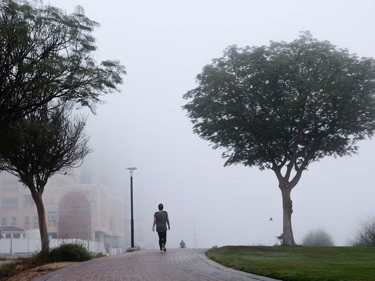 Fog Dubai UAE