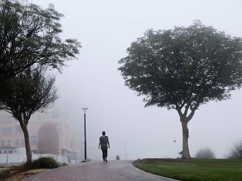The National Air Quality Agenda 2031 provides a general framework to lead and align federal and local government entities, as well as the private sector, to monitor and effectively manage air quality while reducing air pollution.