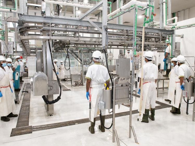 Dubai Abattoirs-1-1617872445811