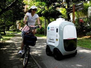 Run out of milk? Robots on call for Singapore home deliveries