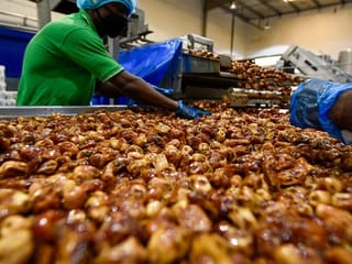 Photos: Dubai to build world’s biggest dates factory