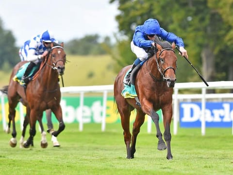 Godolphin's Master Of The Seas