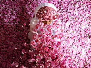 In photos: Saudi Arabia's city of roses blooms in Ramadan
