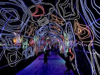Photos: Have a glimpse of Dubai Garden Glow, a forest-themed like glow in the dark garden, with replicas of dinosaurs, and other colourful creatures