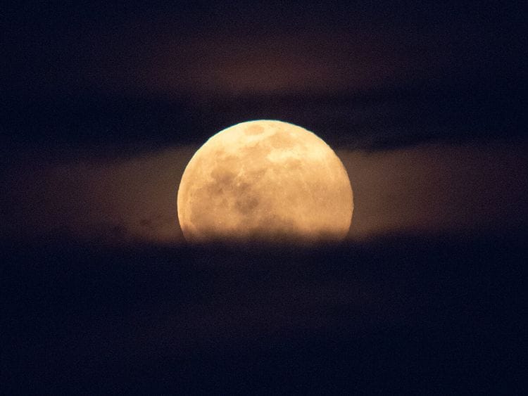 The Pink Moon