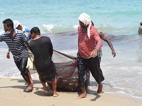 Fishermen bring in their catch from the sea. UAE fisheries have become 10 times more sustainable in 2020 than in 2018.