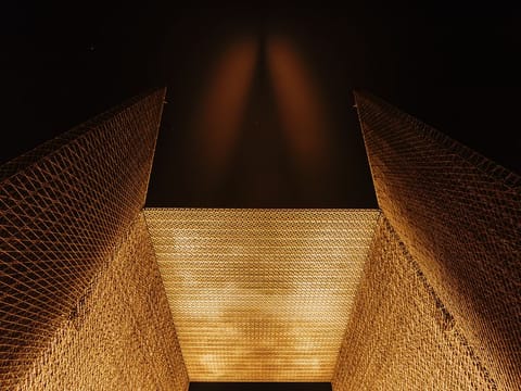 Designed by British architect Asif Khan, the three Entry Portals to Expo 2020 Dubai will wow visitors with their lightweight carbon-fibre build.