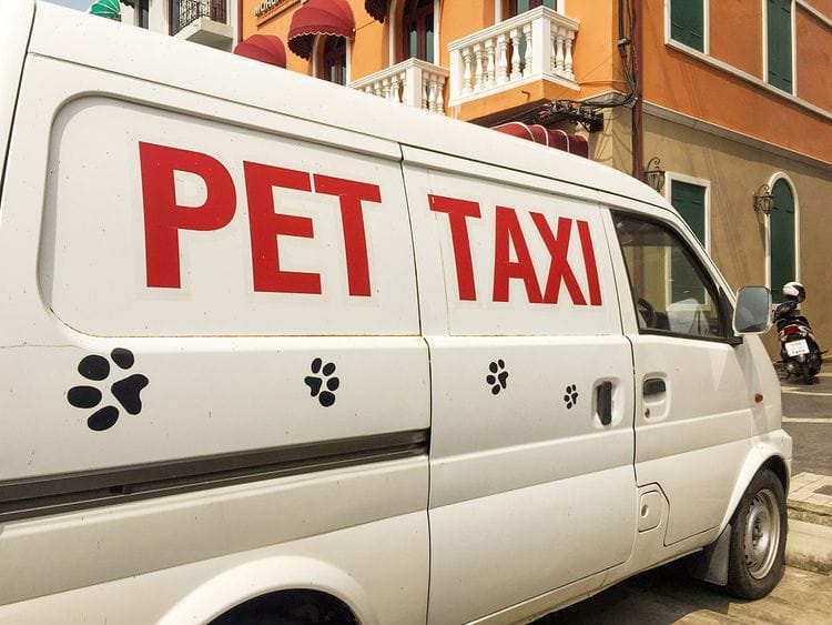 pet-taxi