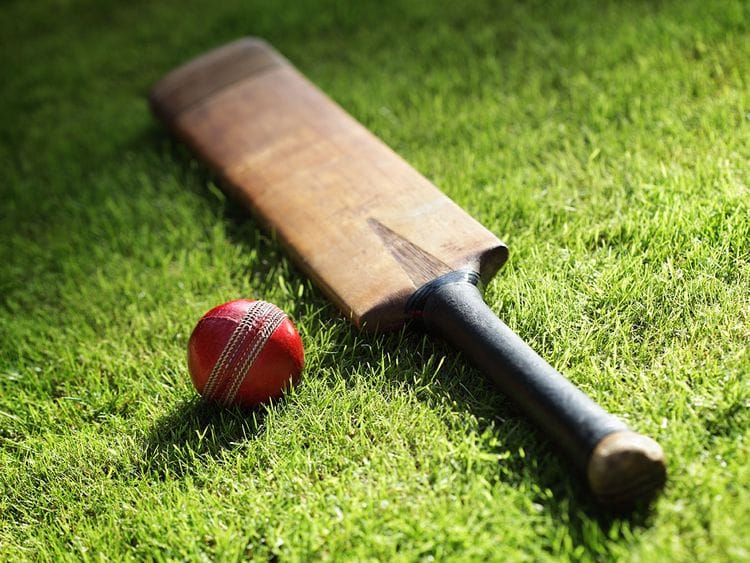 Cricket bat