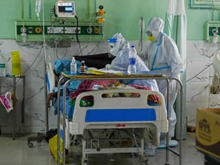 Once-rare fungal diseases killing millions in unprepared world